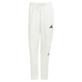 Adidas all SZN fleece Graphic cargo joggingsbroek