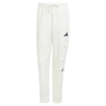 Adidas all SZN fleece Graphic cargo joggingsbroek