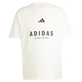 Adidas ALL SZN Graphic T-shirt