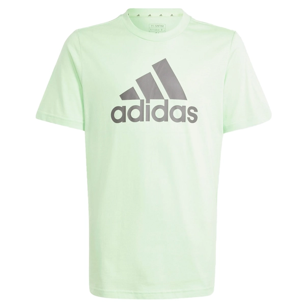 Adidas Essentials Big Logo T-shirt