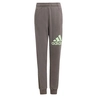 Adidas Essentials Regular Fit Big Logo Katoenen Broek