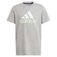 Adidas Essentials Two-Color Big Logo T-Shirt