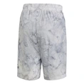 Adidas ID Spray Dye Short