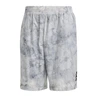 Adidas ID Spray Dye Short