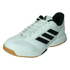 Adidas Ligra 8 Indoor Schoenen