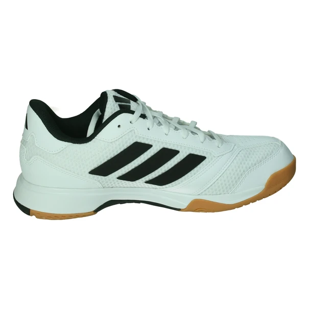 Adidas Ligra 8 Indoor Schoenen