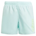 Adidas Sportswear Essentials Logo CLX Boardshort