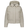 Airforce Bex Bomber