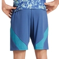 Ajax 24/25 Uitshort