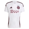 Ajax Derde Shirt 24/25