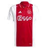Ajax Thuis Shirt 24/25