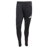 Ajax Trainingsbroek 25/26