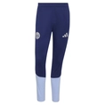 Ajax Trainingsbroek 26/27