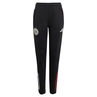 Ajax Trainingsbroek