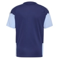 Ajax Trainingshirt 26/27
