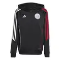 Ajax Trainingshoodie
