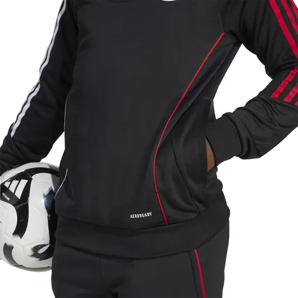 Ajax Trainingshoodie