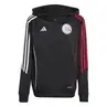 Ajax Trainingshoodie