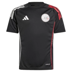 Ajax Trainingsshirt
