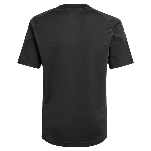 Ajax Trainingsshirt