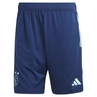 Ajax Trainingsshort 23/24