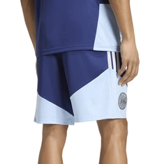Ajax Trainingsshort 26/27