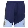Ajax Trainingsshort 26/27