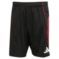 Ajax Trainingsshort