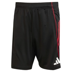 Ajax Trainingsshort
