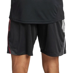 Ajax Trainingsshort
