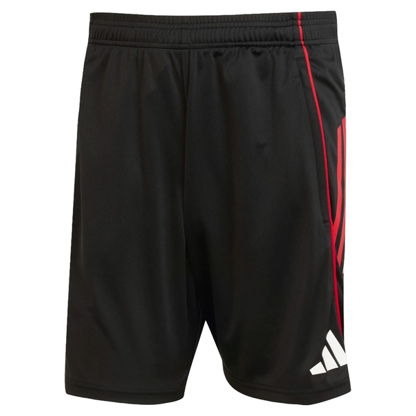 Ajax Trainingsshort
