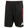 Ajax Trainingsshort