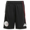 Ajax Trainingsshort
