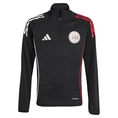 Ajax Trainingstop