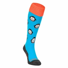 Brabo BC8300E Socks Pinquins