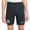 Chelsea FC CFC Y NK DF STRK SHORT KZ