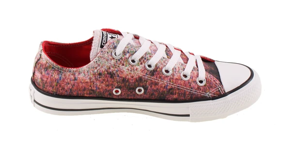 Converse All Star Low Canvas Streaming