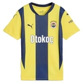 Fenerbahçe HOME JERSEY REPLICA