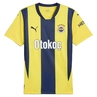 Fenerbahçe HOME JERSEY REPLICA