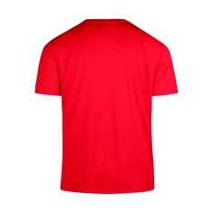 Hasselbaink Shirt