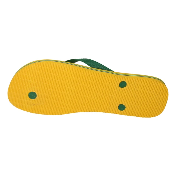 Havaianas Brasil Logo