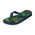 Havaianas Minecraft