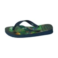 Havaianas Minecraft
