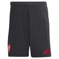 Liverpool Uitshort 25/26