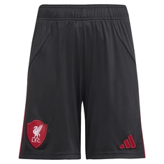 Liverpool Uitshort 25/26