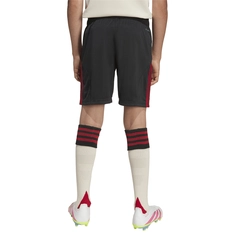 Liverpool Uitshort 25/26