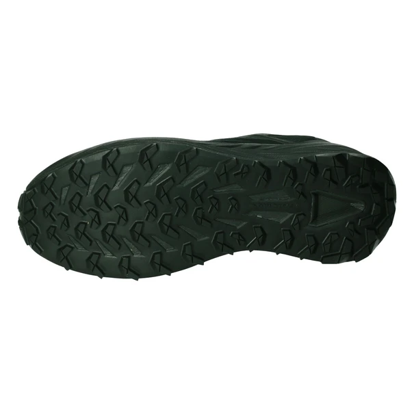 Lowa Fortux GTX Trailschoenen