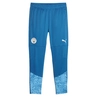 Manchester City FC MCFC TRAINING PANTS