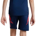 Manchester United Tiro 24 Training Short