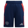 Manchester United Tiro 24 Training Short